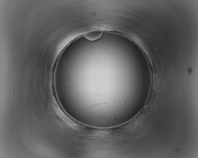 X0000116581187200912101533
