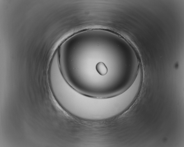 X0000116581189200912101533