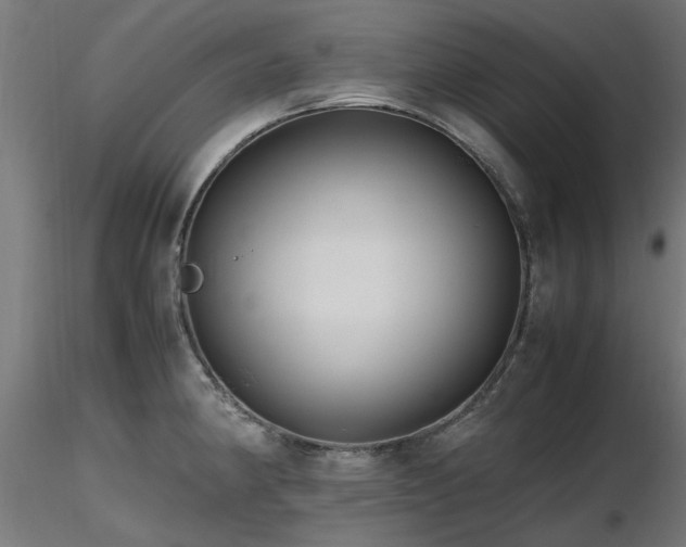 X0000116581190200912101533