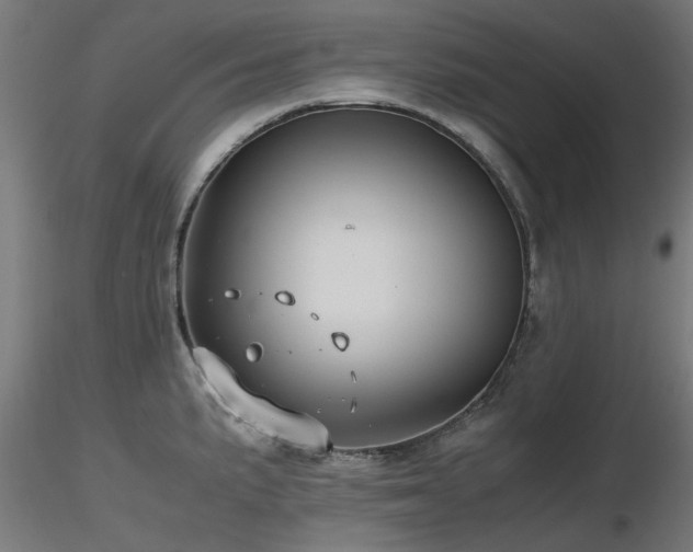 X0000116581191200912101533