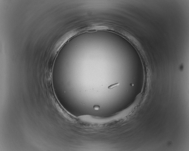 X0000116581193200912101533