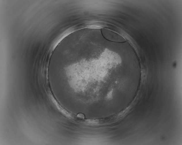 X0000116581194200912101533