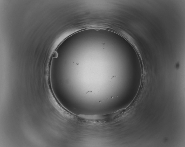 X0000116581195200912101533