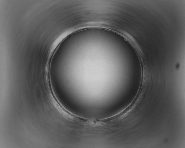 X0000116581196200912101533