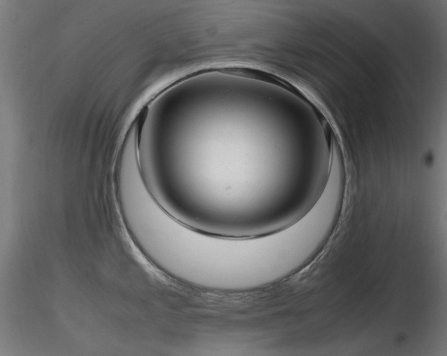 X0000116581197200912101533