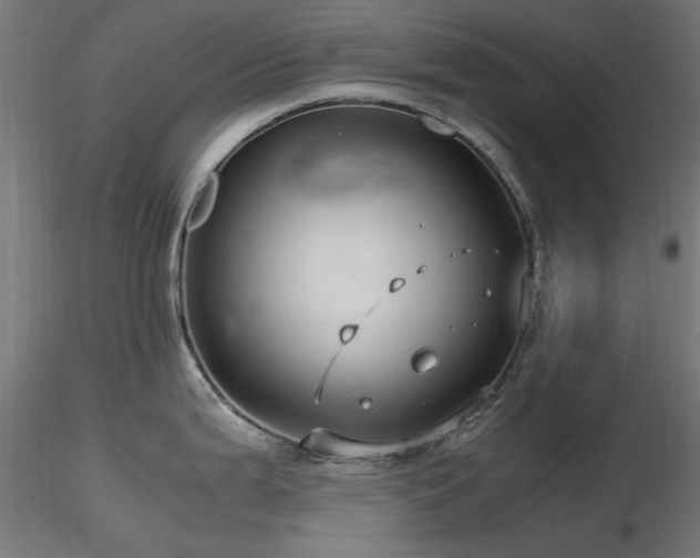 X0000116581199200912101533