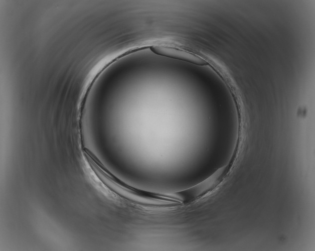X0000116581200200912101533