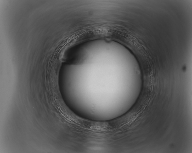 X0000116581201200912101532