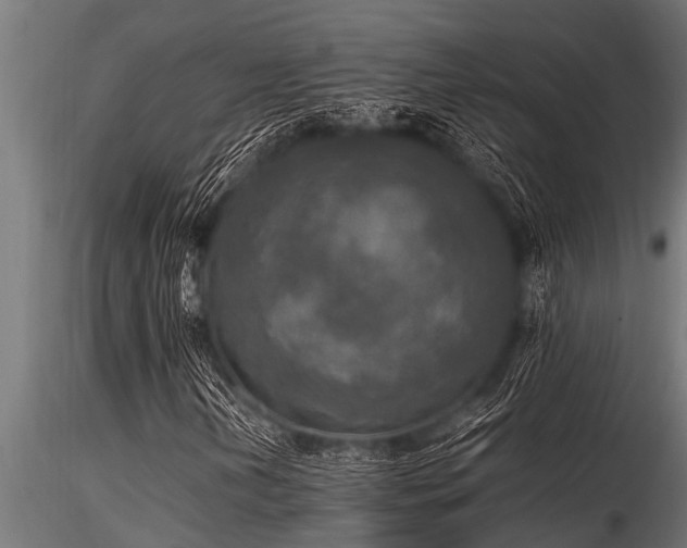 X0000116581202200912101532