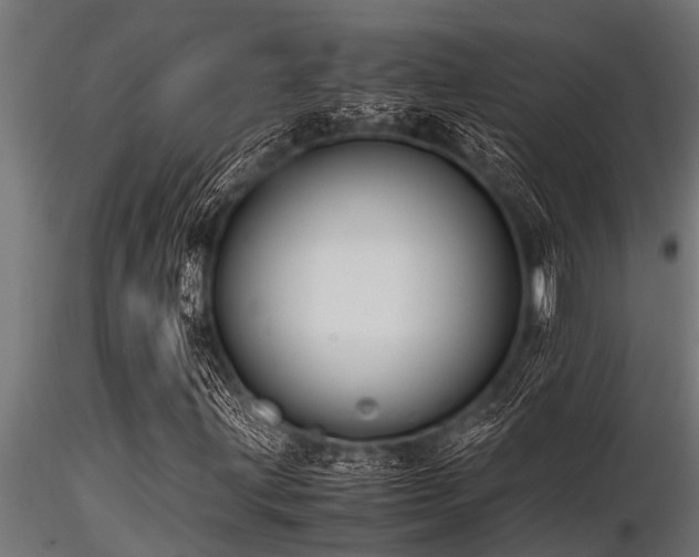 X0000116581203200912101532