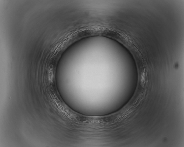 X0000116581204200912101532