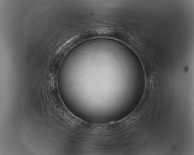 X0000116581205200912101532