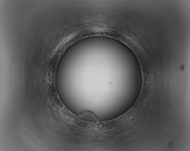 X0000116581207200912101532