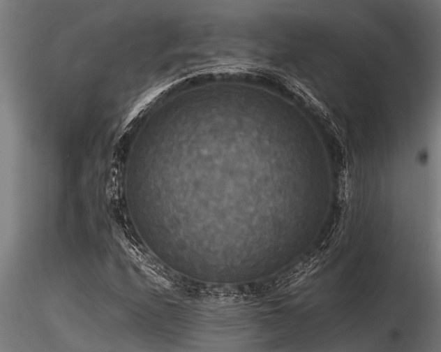 X0000116581208200912101532