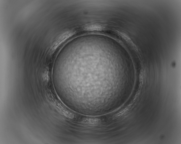 X0000116581209200912101532