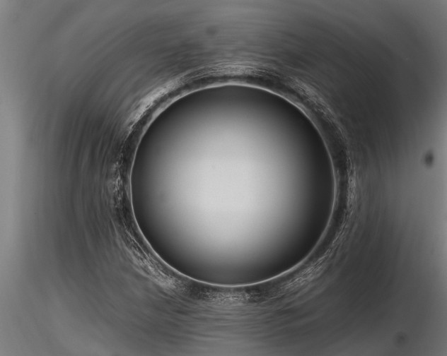 X0000116581210200912101532
