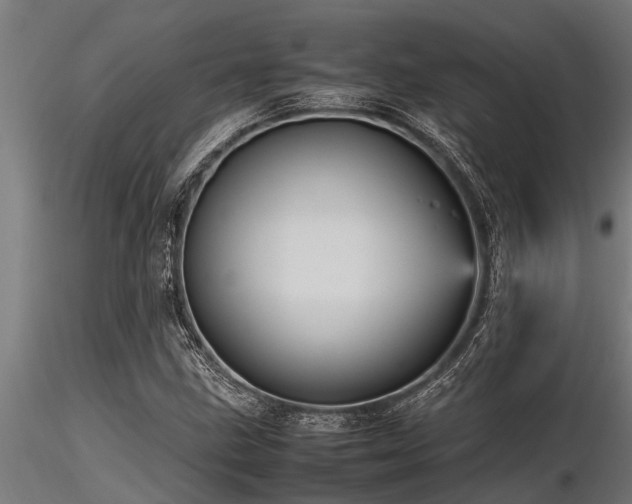X0000116581211200912101532
