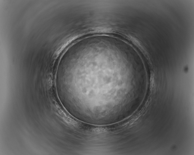 X0000116581212200912101532