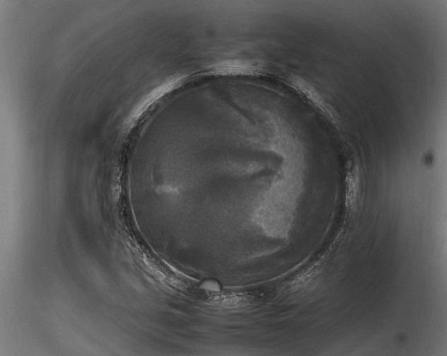 X0000116581213200912101533