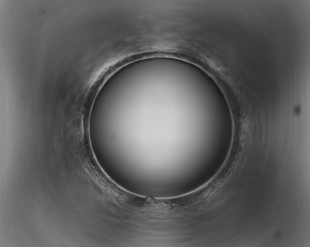 X0000116581214200912101533
