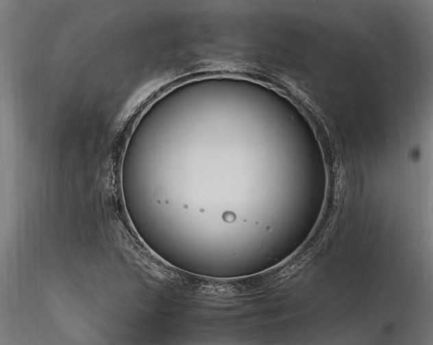 X0000116581215200912101533