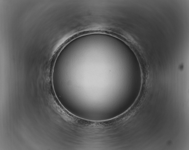 X0000116581216200912101533