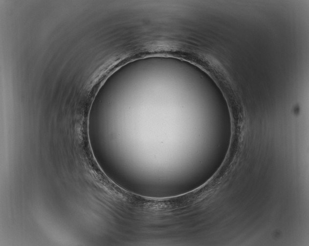 X0000116581217200912101533