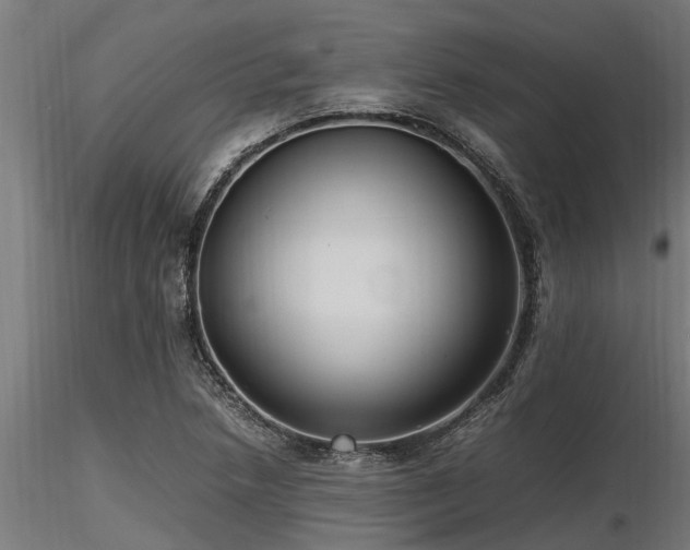 X0000116581218200912101533