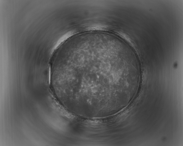 X0000116581219200912101533