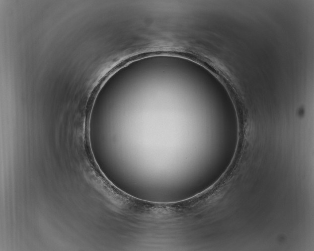X0000116581220200912101533