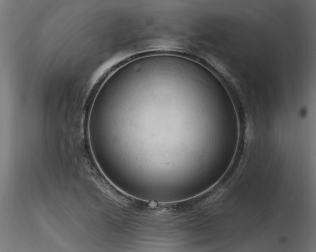 X0000116581222200912101533