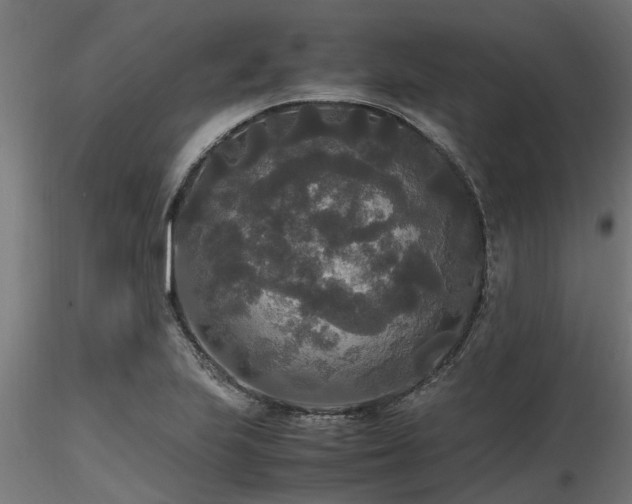X0000116581223200912101533