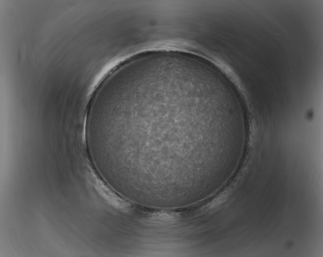 X0000116581224200912101533