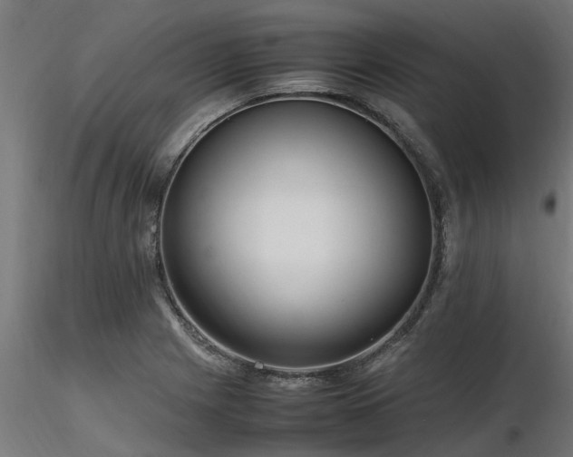 X0000116581225200912101533
