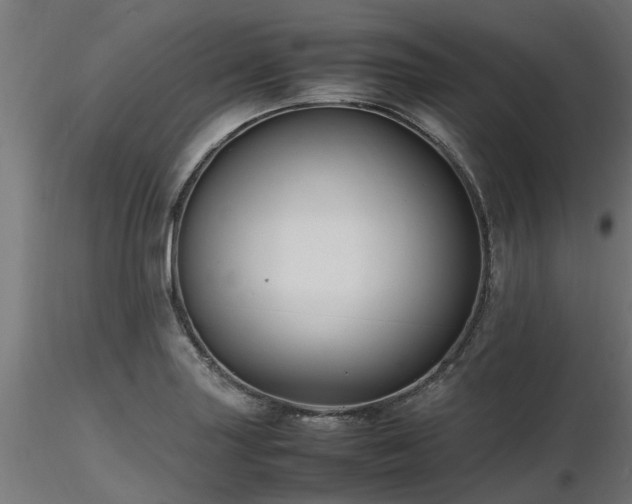 X0000116581227200912101533