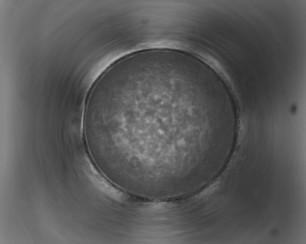 X0000116581228200912101533