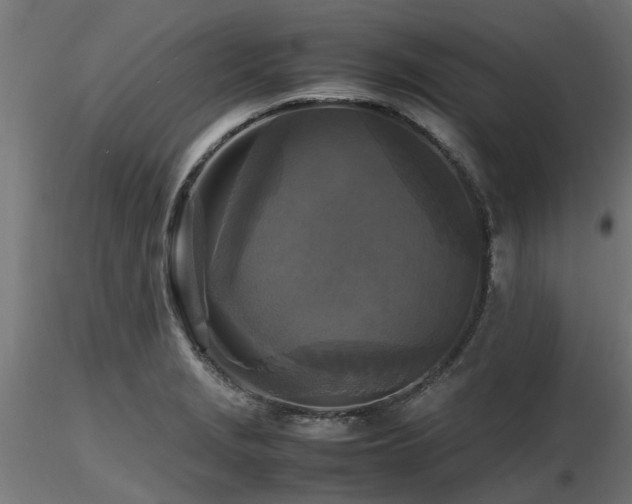 X0000116581229200912101533