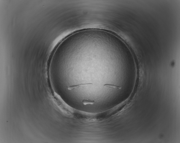 X0000116581230200912101533