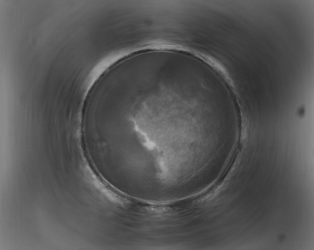 X0000116581231200912101533