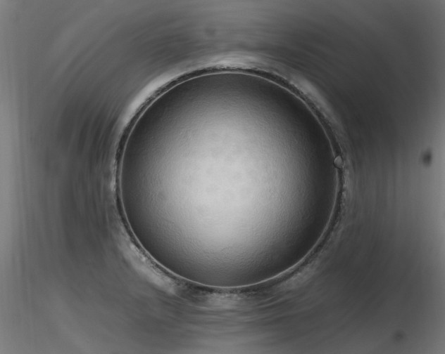 X0000116581232200912101533