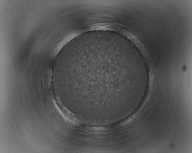 X0000116581233200912101533