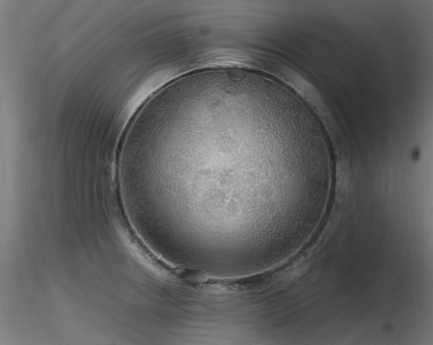X0000116581234200912101533