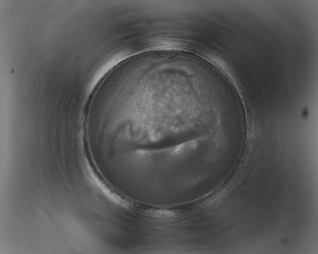 X0000116581235200912101533