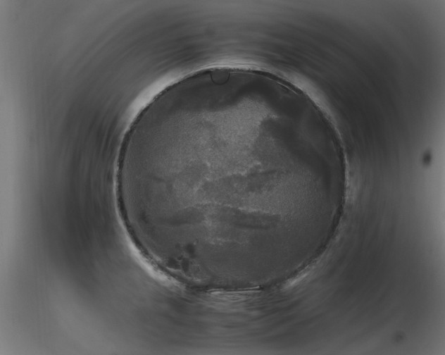 X0000116581237200912101533