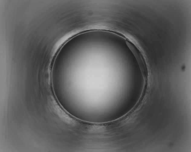 X0000116581238200912101533