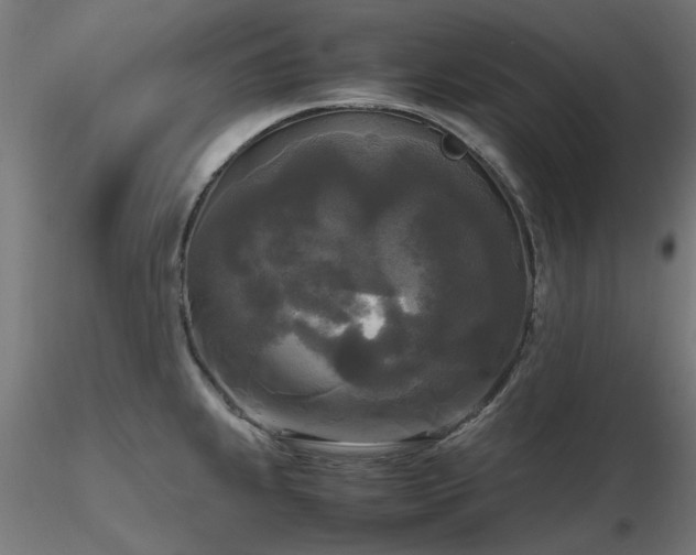 X0000116581239200912101533