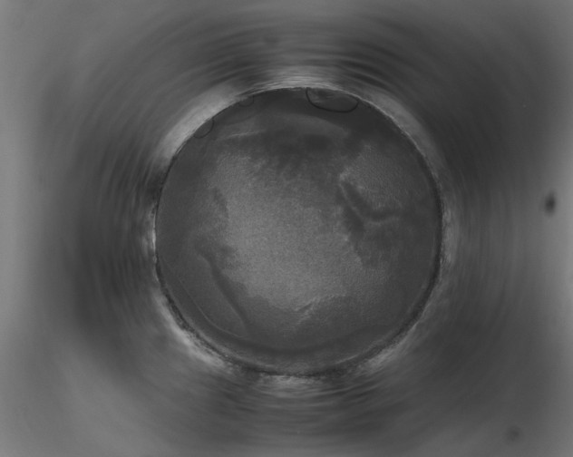 X0000116581241200912101533