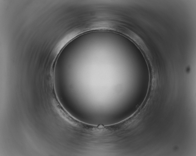 X0000116581242200912101533