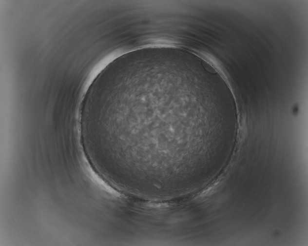 X0000116581243200912101533