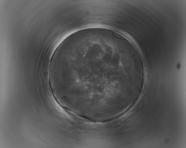 X0000116581244200912101533